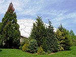 Dinosaur State Park (Rocky Hill, CT) - dome